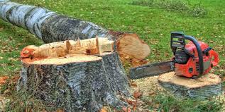 Best Lot and Land Clearing  in Council Bluffs, IA